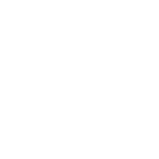 Cloud icon representing secure backup and recovery