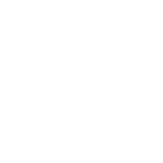 Shield icon representing WordPress firewall protection