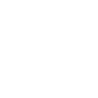 Lock icon representing malware prevention and removal