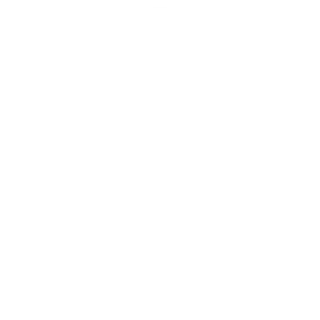 Fingerprint icon representing access control and login protection