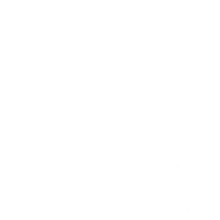 Settings icon representing WordPress security hardening